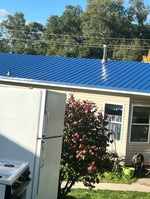 House with bright blue metal roof, cream-colored walls, flowering bush, and tall trees in background under clear sky