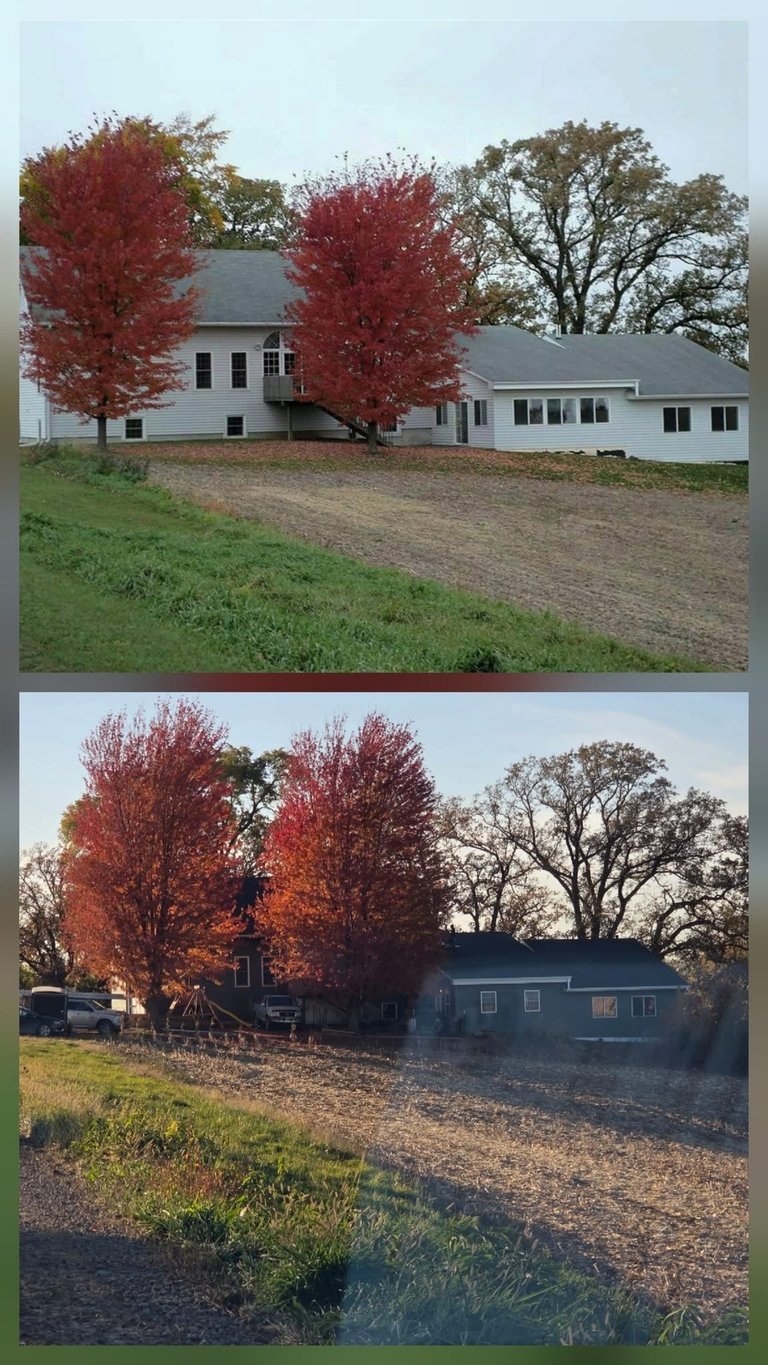 Two views of a white farmhouse with red maple trees in autumn, dirt driveway, and surrounding rural landscape